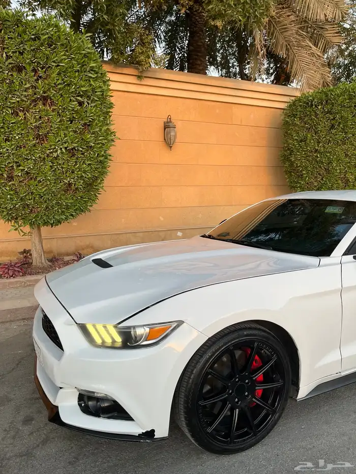 للبيع موستنج 2015 ايكوبوست اصدار 50 عام 2