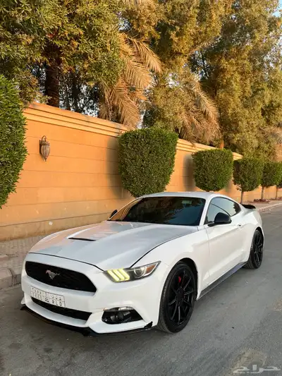 للبيع موستنج 2015 ايكوبوست اصدار 50 عام index