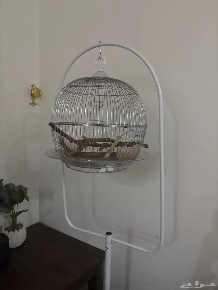 قفص مع قاعده 0