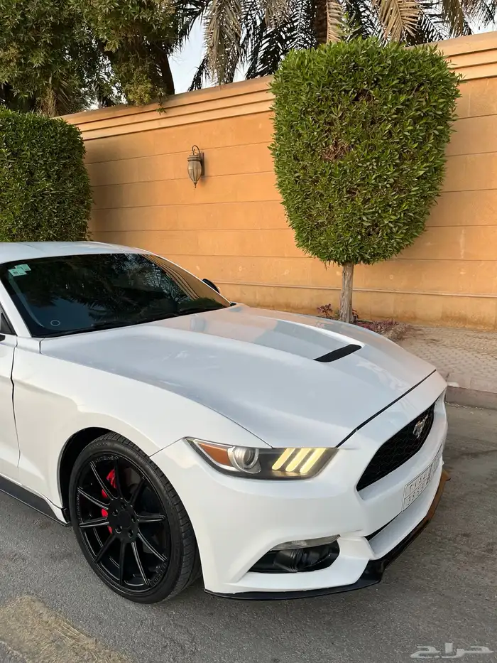 للبيع موستنج 2015 ايكوبوست اصدار 50 عام 6