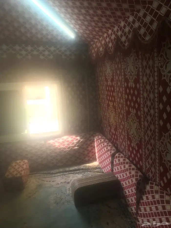 بيت شعر ملكي العرض 3 الطول 4 5 مع المخاد والمراكي والفرشه 13