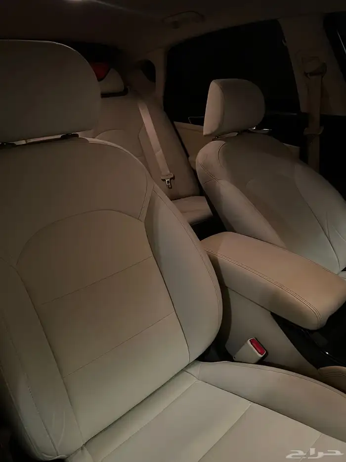 كادينزا 2018 2