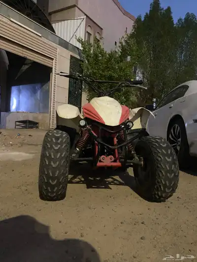 دباب لإيجار index