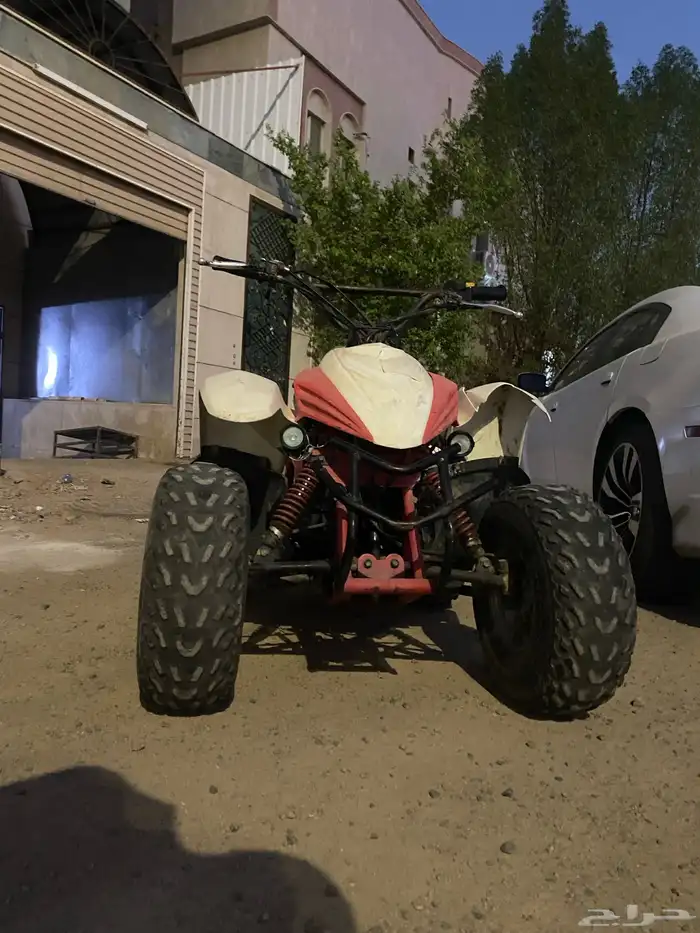 دباب لإيجار 0