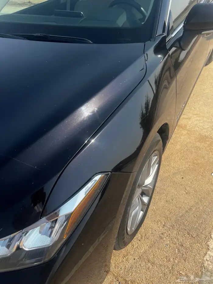 افالون 22 اسود كذاب نظيفة جد ا 19