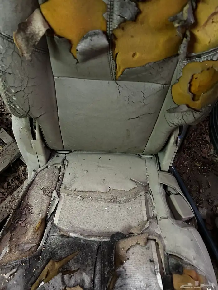 كراسي دينالي 2008 0