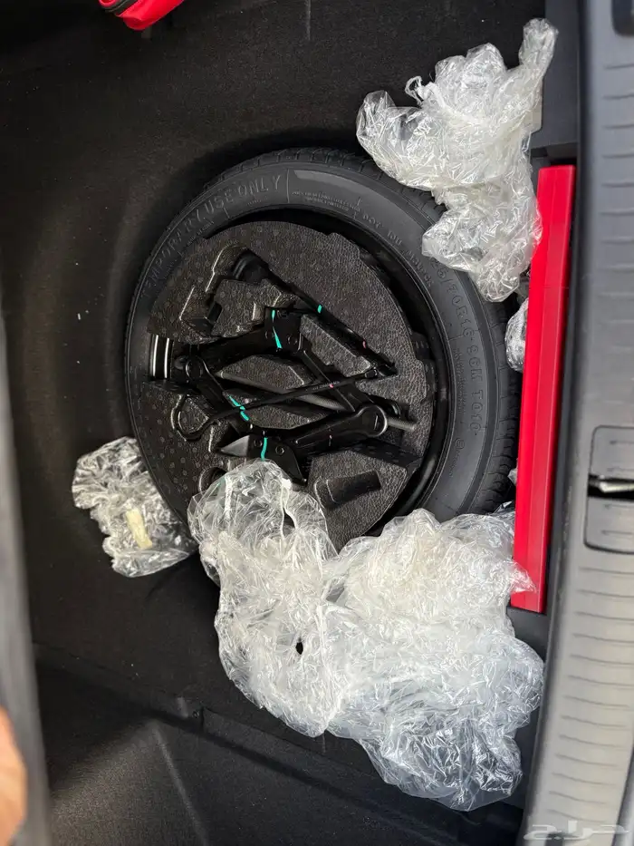 شيري اريزو 8 2025 18