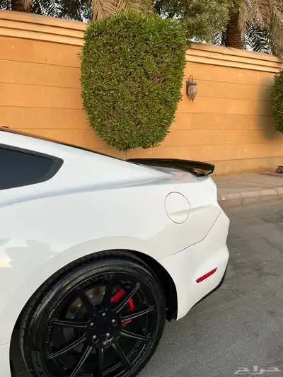 للبيع موستنج 2015 ايكوبوست اصدار 50 عام index