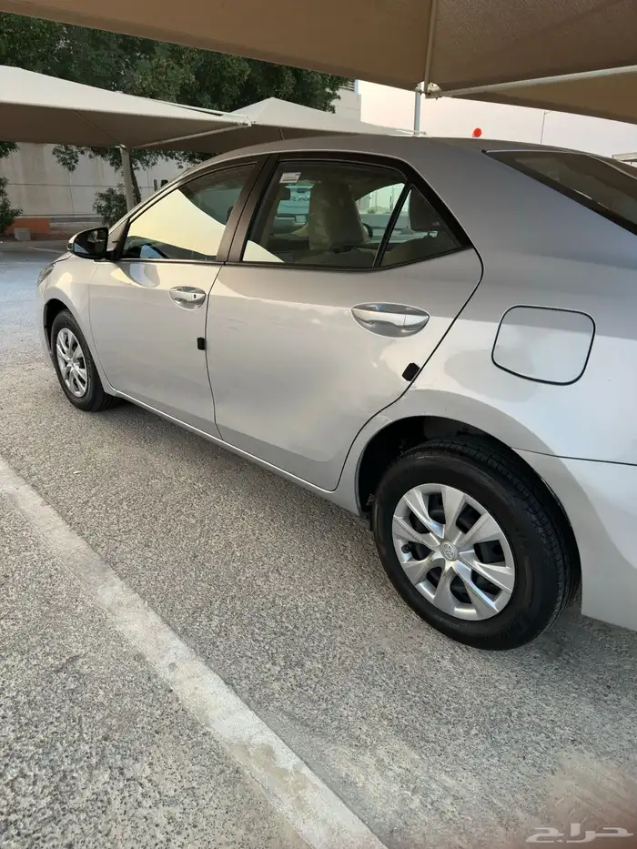 كورولا وراد عبداللطيف جميل 2018 2