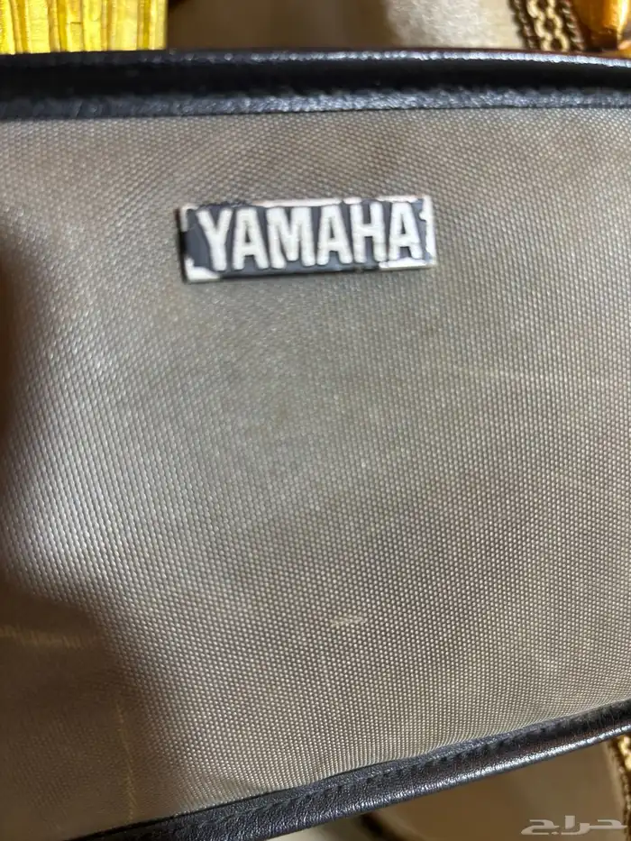 عود موسيقي وكمنجه لا البيع 11