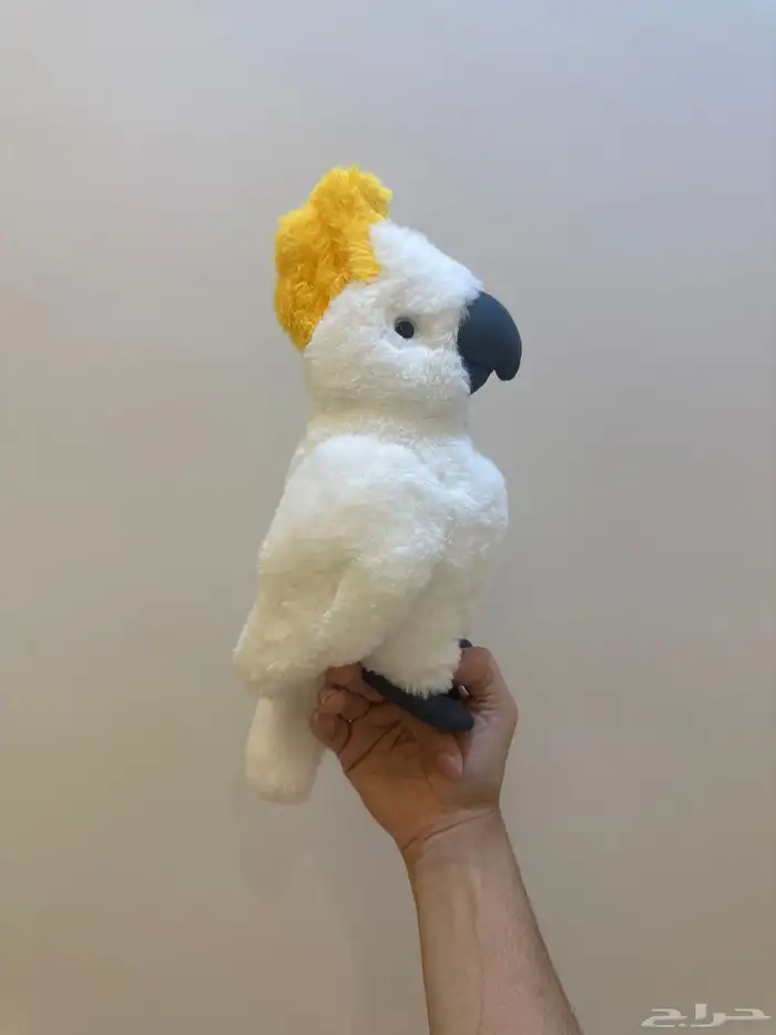 فرخ كوكاتو 3