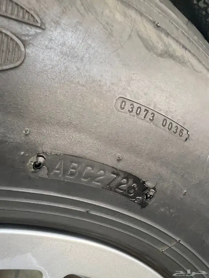 جنوط برايد 2