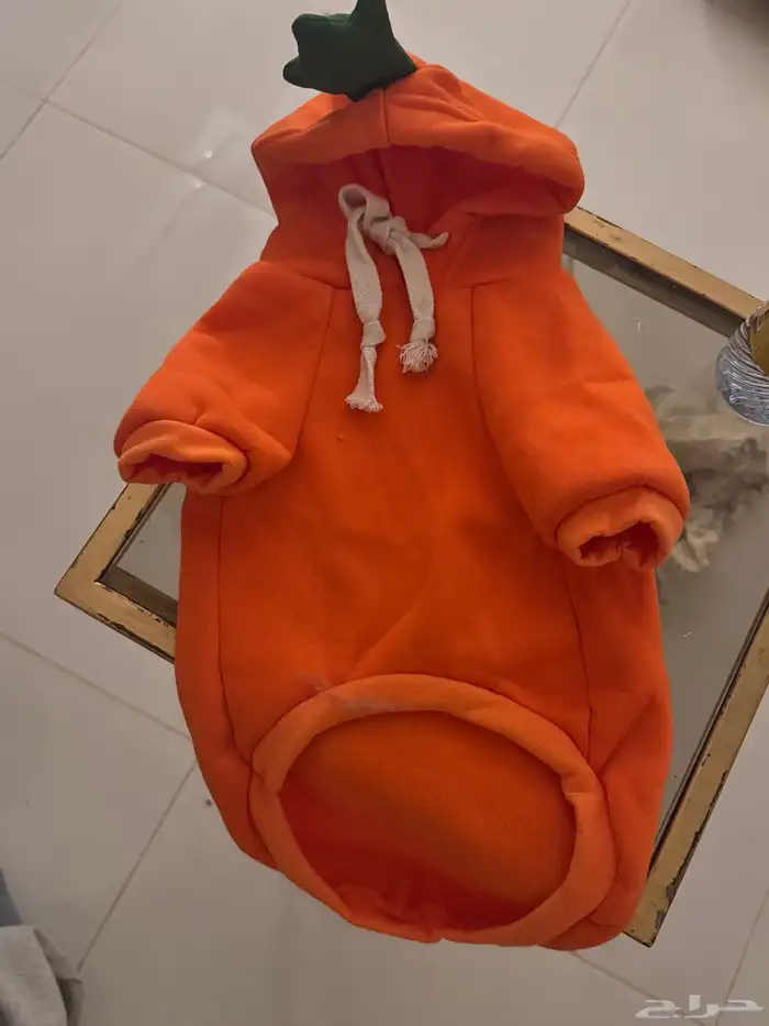 مستلزمات قطط 0