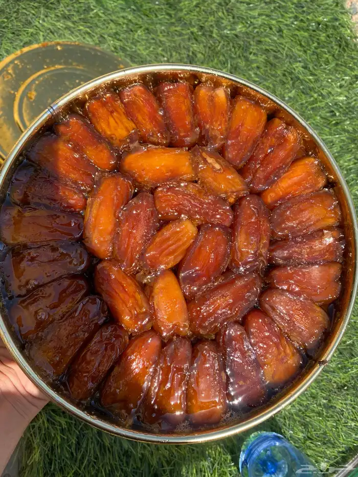 تمر صفري بيشة اشعل حشي جديد كفو 0