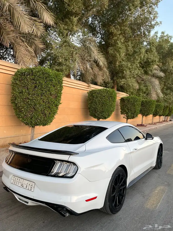 للبيع موستنج 2015 ايكوبوست اصدار 50 عام 5