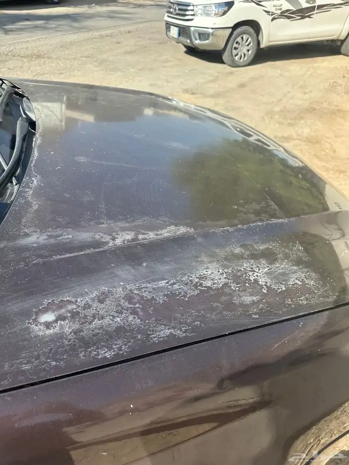 أفالون 2011 الممشى 400 000 8