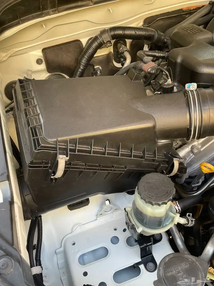 اف جي 2018 حكوومي 10