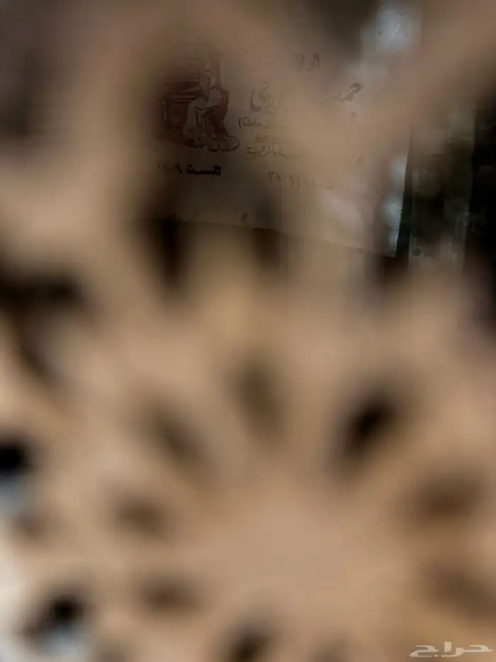 عود موسيقي وكمنجه لا البيع 19