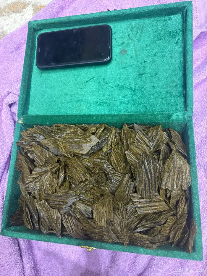 عود ازرق كلمنتان   كيلو 0