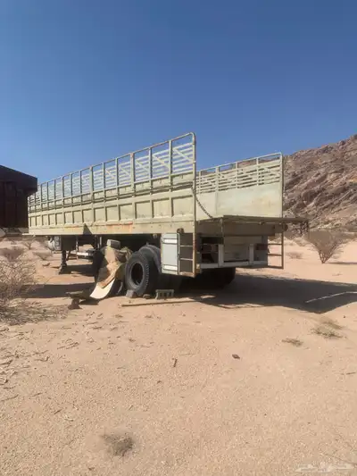 تيذر قاعده 12 index