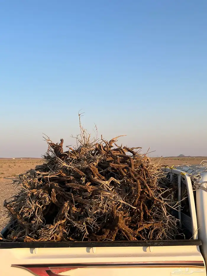 للبيع صندوق غمارتين حمل لتنده 2