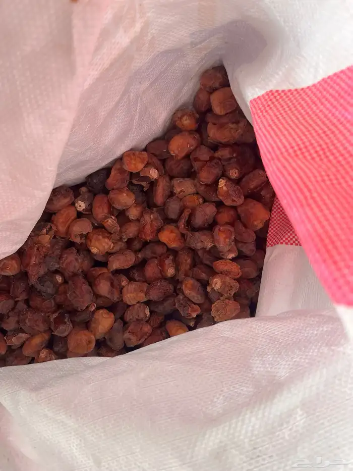 تمور أعلاف للمواشي نظيف محصول السنة 1