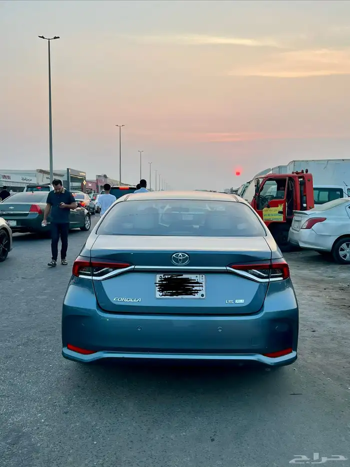 كورلا 2022 3 سرندل 1