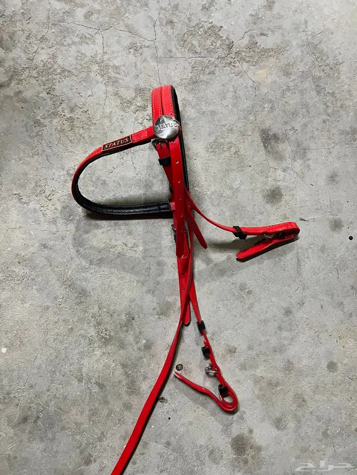 رأسية خيل لجام 0