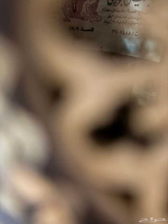 عود موسيقي وكمنجه لا البيع 15