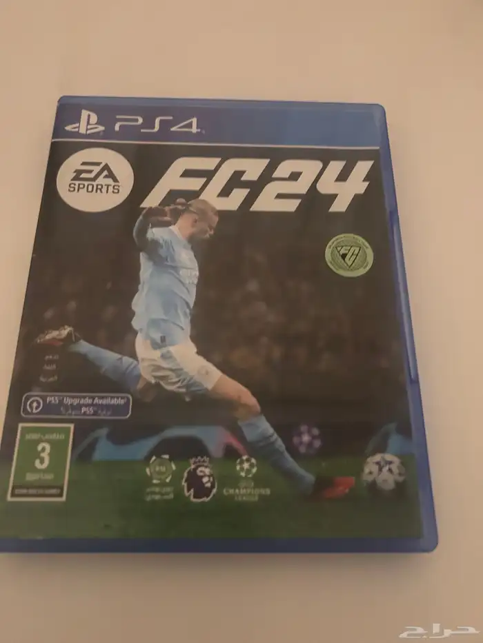 سيدي فيفا 2024 و 2025 1