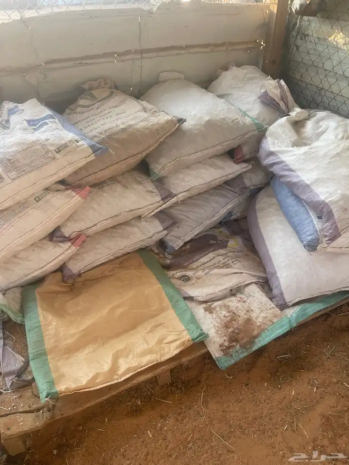 تمر علف ناشف 0