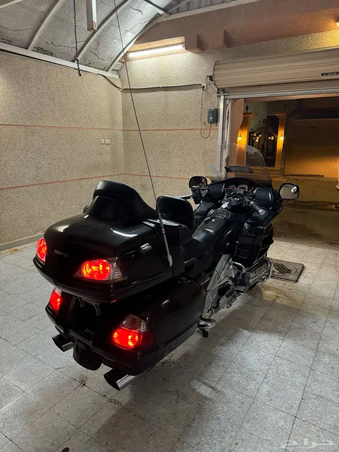 قولد وينق 2010 2