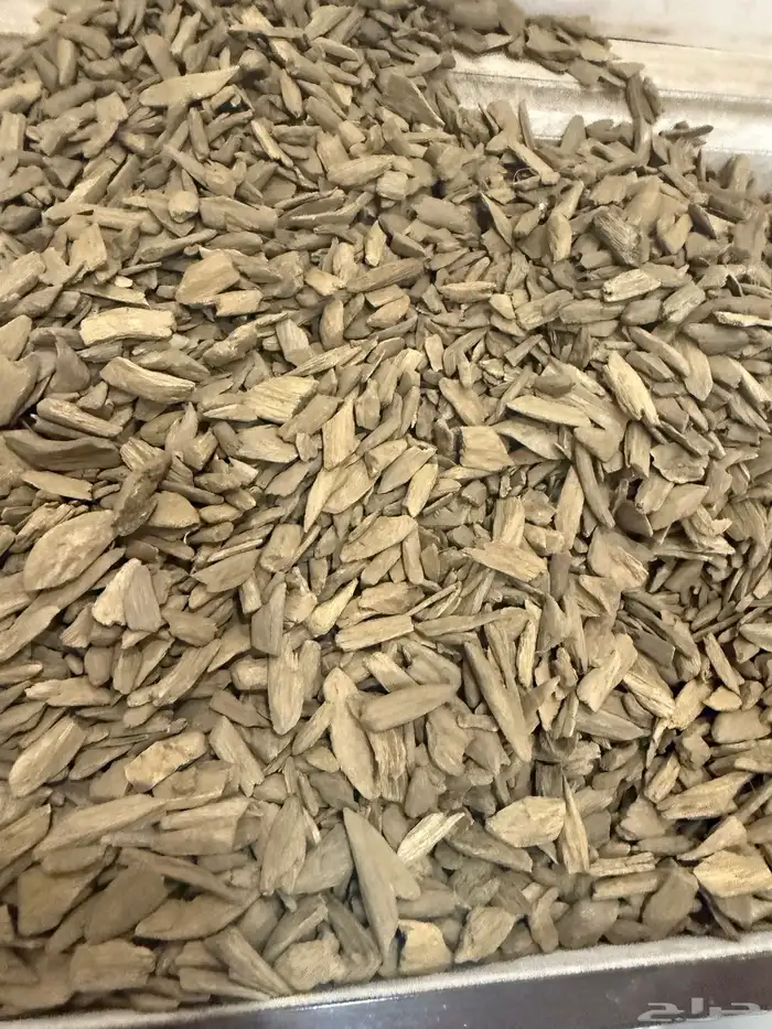 دقة عود مروكي آصقون طبيعي 6