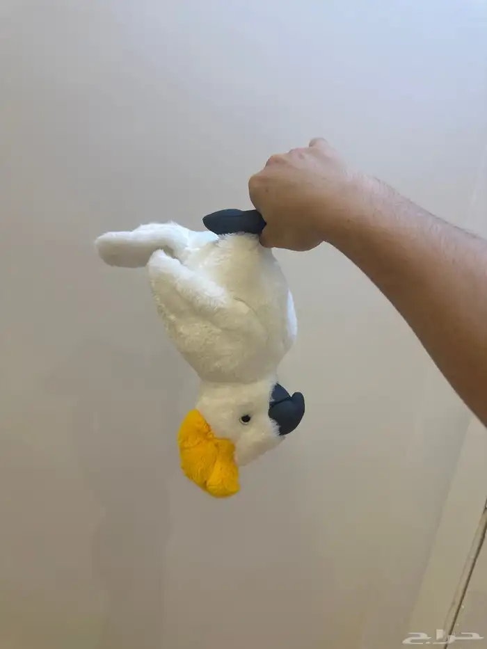 فرخ كوكاتو 1