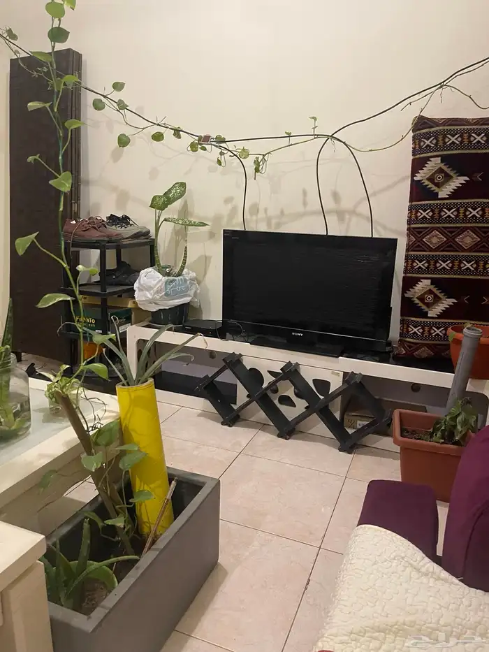 شارع الرزاي بجانب شركة يمك 13