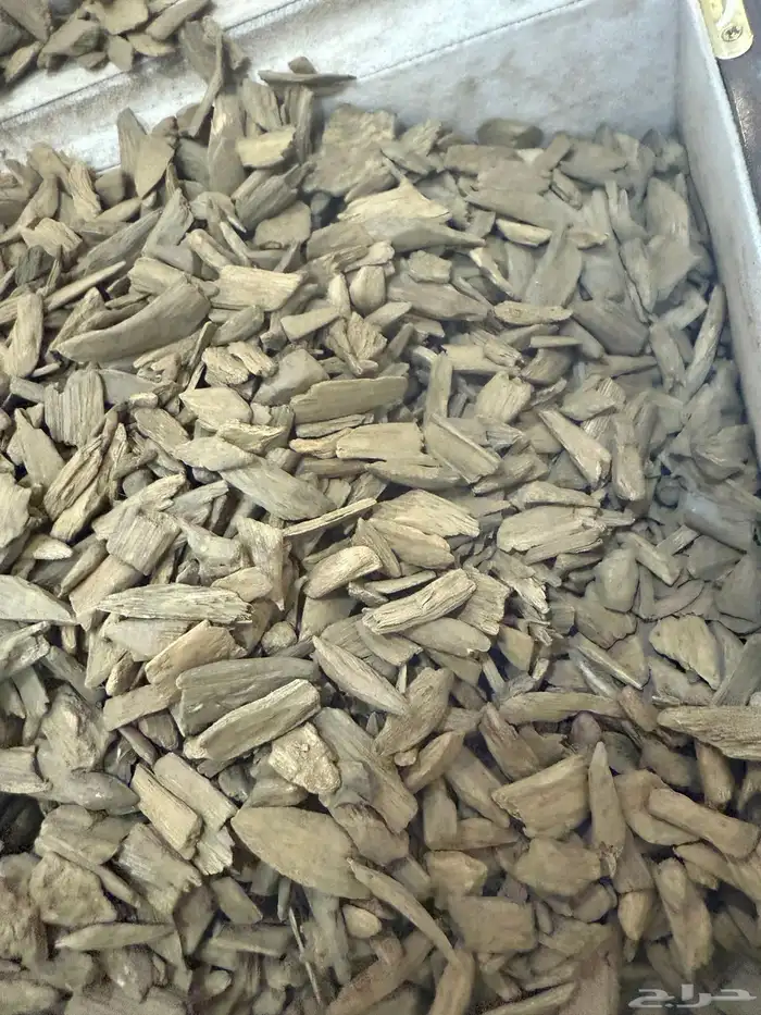 دقة عود مروكي آصقون طبيعي 0