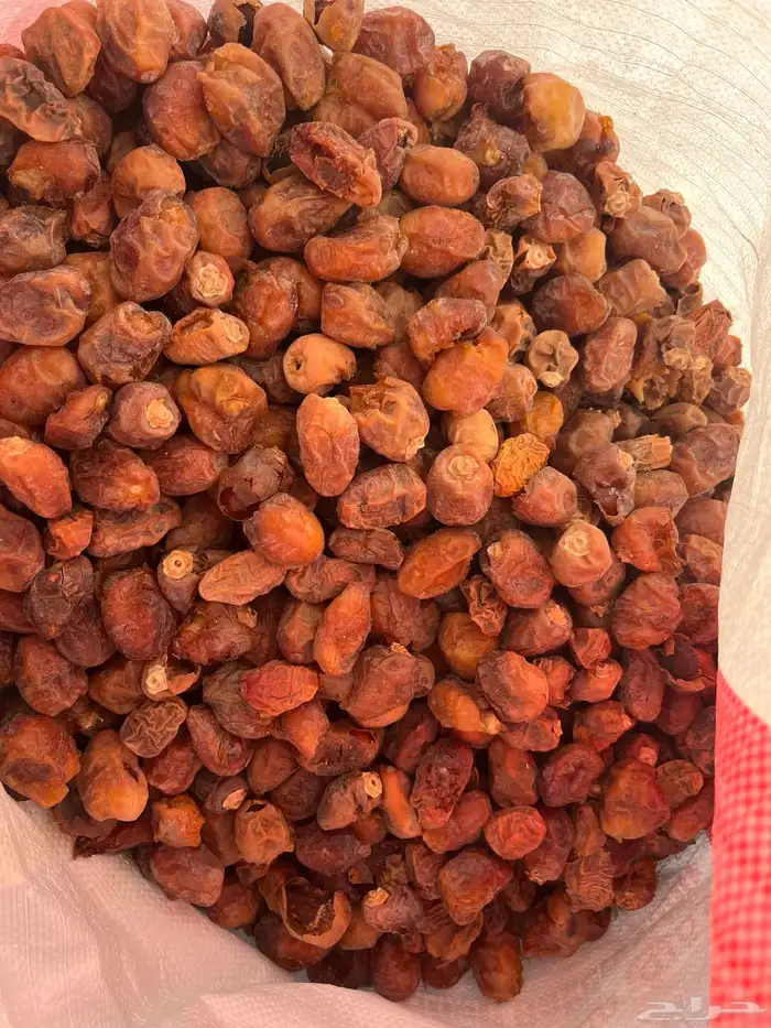 تمور أعلاف للمواشي نظيف محصول السنة 0