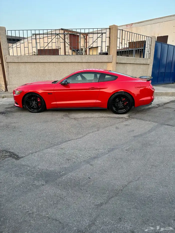 جنوط موستنج 0