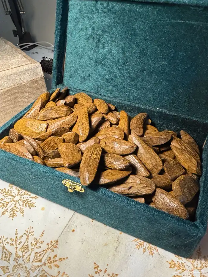 عود موروكي محسن 0