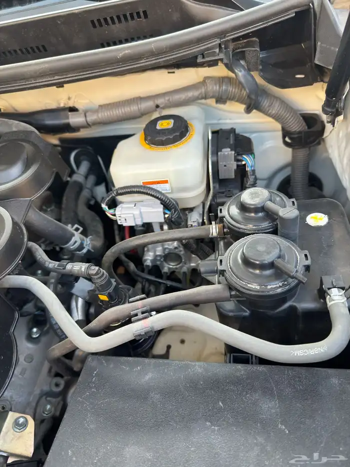 تويوتا برادو 2020 ستة سلندر 16