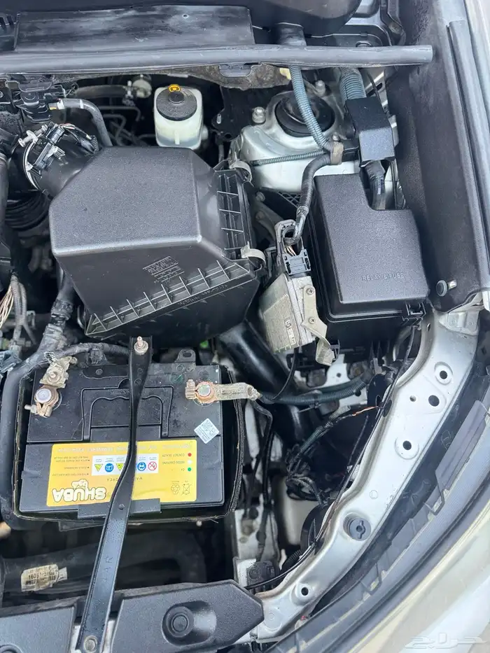 رافور فل كامل جلد للبيع 21