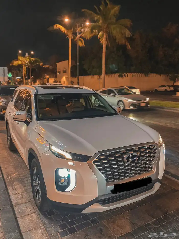 Hyundai palisade 4