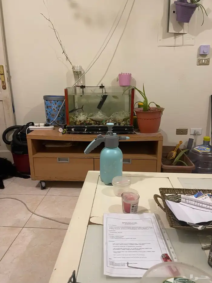 شارع الرزاي بجانب شركة يمك 14