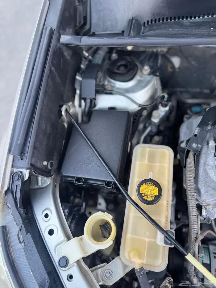 رافور فل كامل جلد للبيع 22