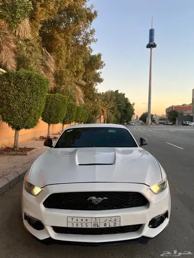 للبيع موستنج 2015 ايكوبوست اصدار 50 عام index