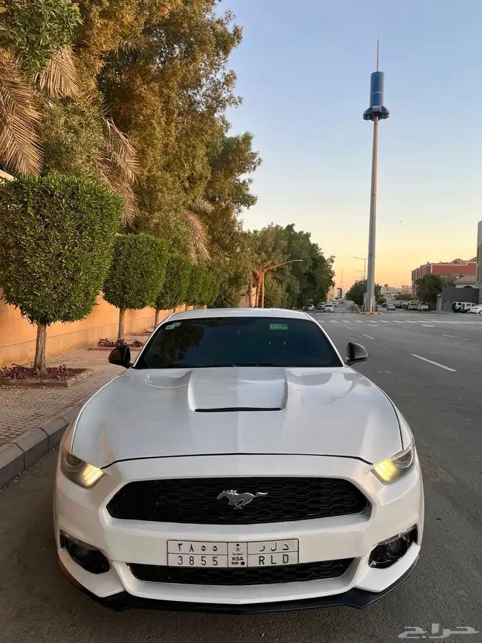 للبيع موستنج 2015 ايكوبوست اصدار 50 عام 8