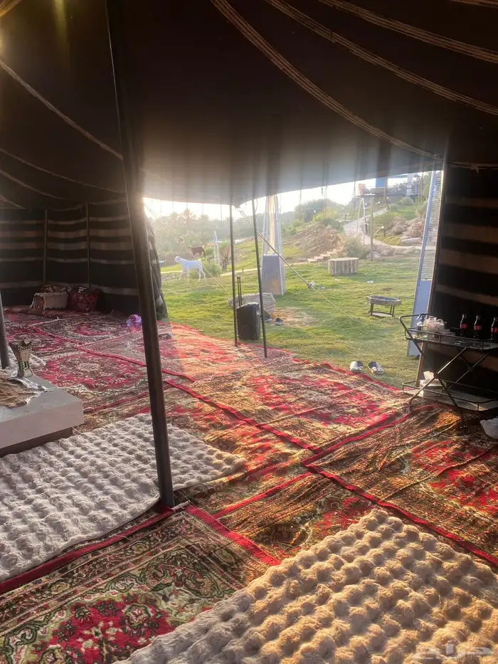 مخيم وقاعات مناسبات فخم للإيجار. اليومي 0