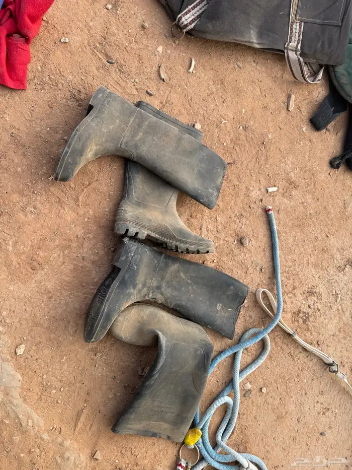 مستلزمات خيول 1