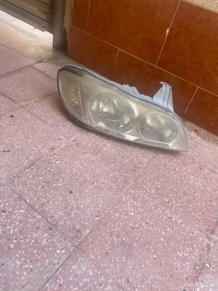 شمعة مكسيما 2008 2