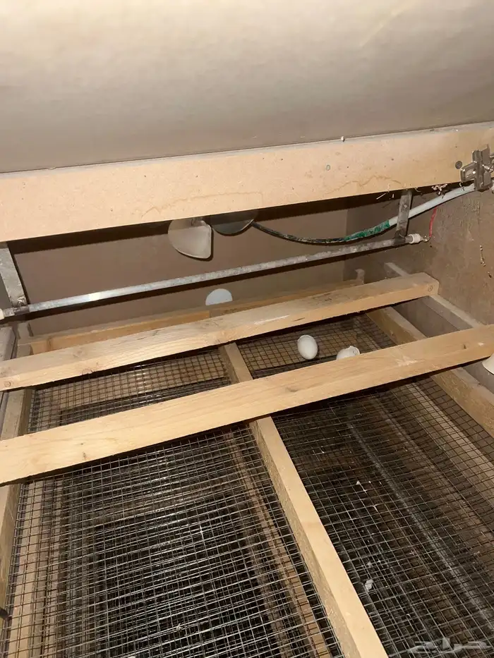 فقاسه يدويه 2